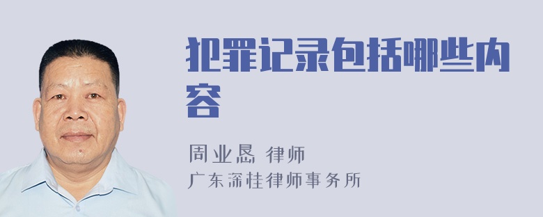 犯罪记录包括哪些内容