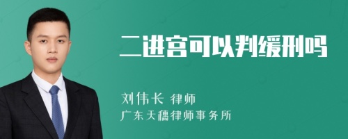 二进宫可以判缓刑吗