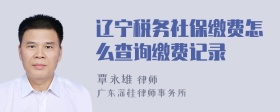 辽宁税务社保缴费怎么查询缴费记录