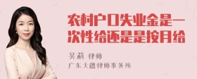 农村户口失业金是一次性给还是是按月给