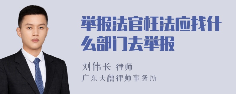 举报法官枉法应找什么部门去举报