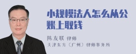 小规模法人怎么从公账上取钱