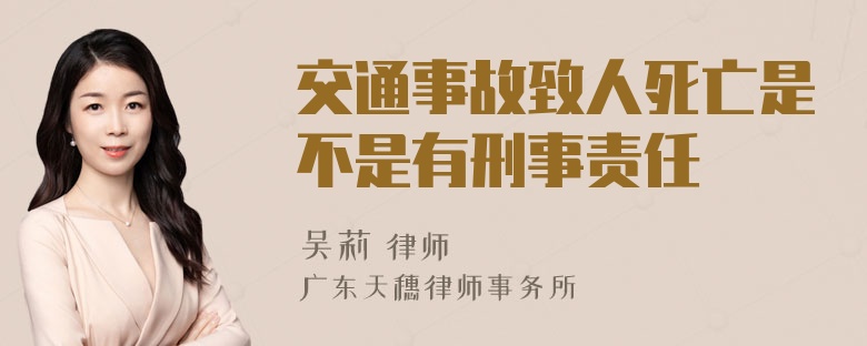 交通事故致人死亡是不是有刑事责任