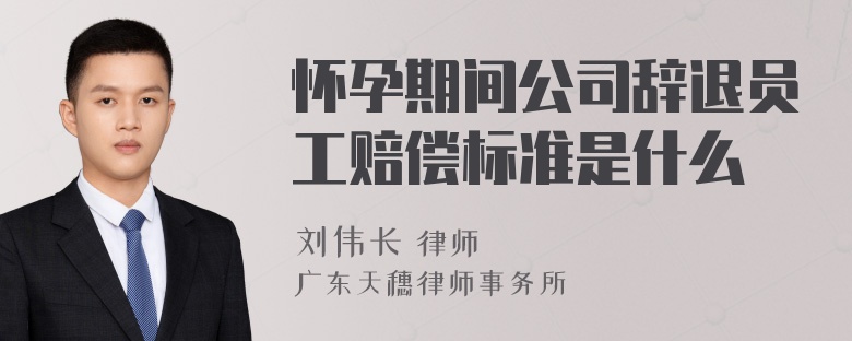 怀孕期间公司辞退员工赔偿标准是什么