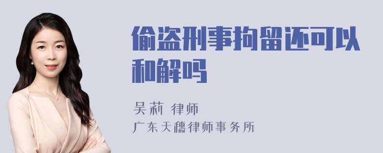 偷盗刑事拘留还可以和解吗