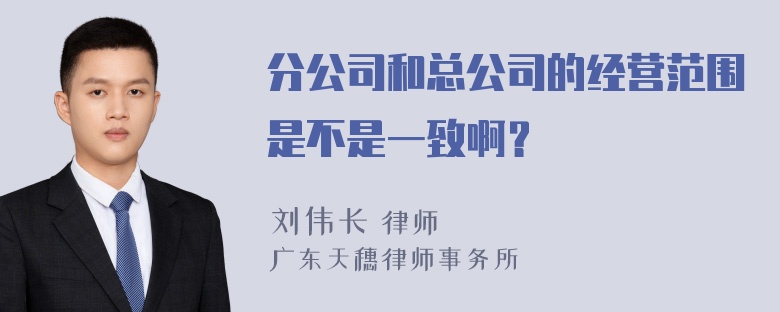 分公司和总公司的经营范围是不是一致啊？