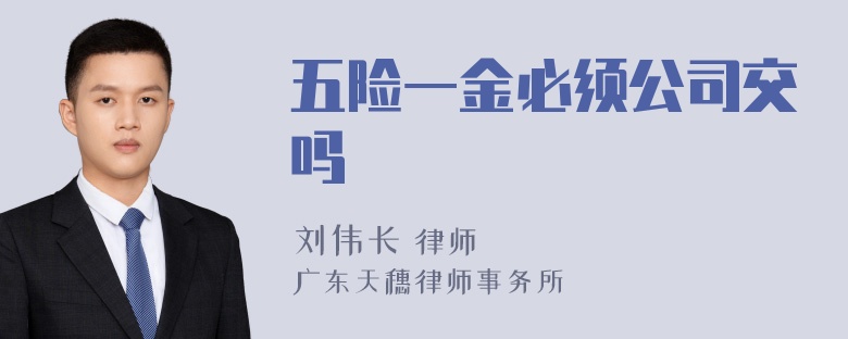 五险一金必须公司交吗