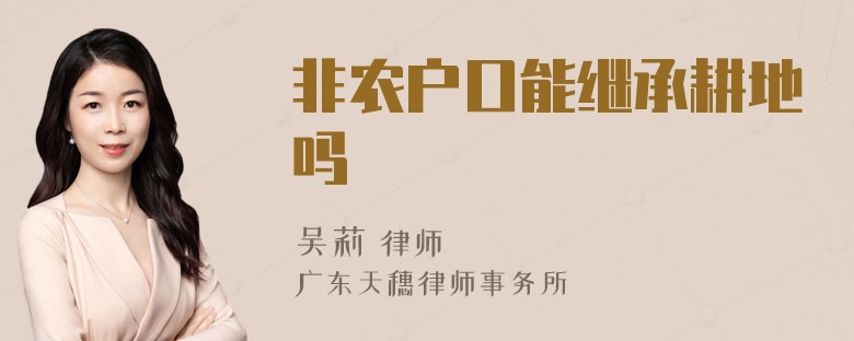 非农户口能继承耕地吗