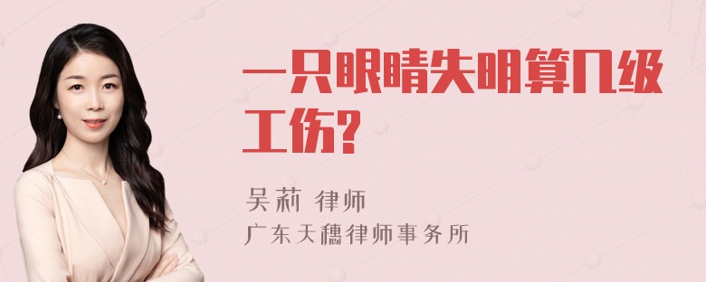 一只眼睛失明算几级工伤?