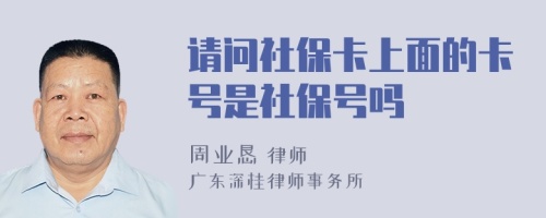 请问社保卡上面的卡号是社保号吗