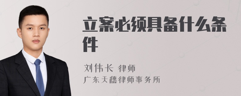 立案必须具备什么条件