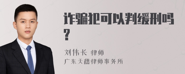 诈骗犯可以判缓刑吗?