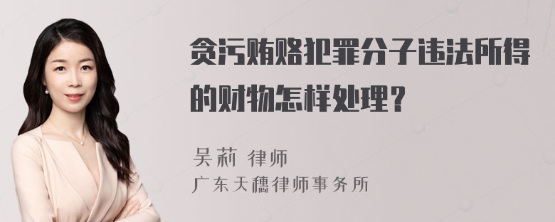 贪污贿赂犯罪分子违法所得的财物怎样处理？