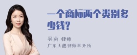 一个商标两个类别多少钱?