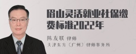 眉山灵活就业社保缴费标准2022年