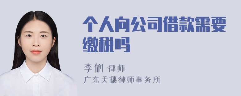 个人向公司借款需要缴税吗