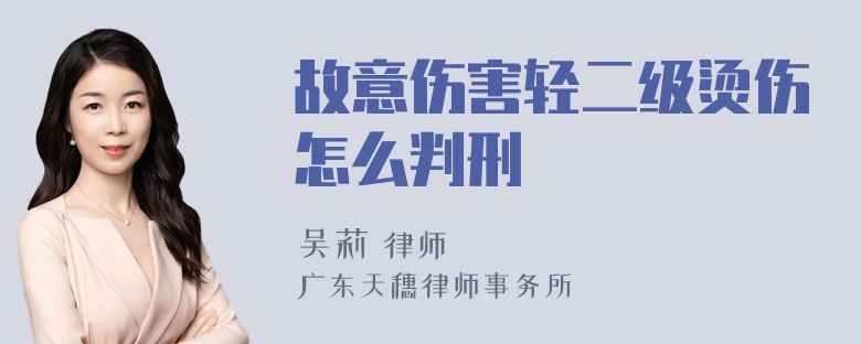 故意伤害轻二级烫伤怎么判刑