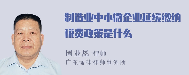 制造业中小微企业延缓缴纳税费政策是什么