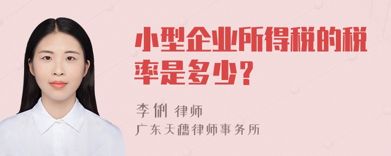 小型企业所得税的税率是多少？