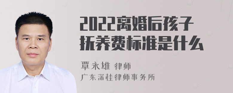 2022离婚后孩子抚养费标准是什么