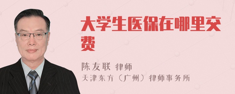 大学生医保在哪里交费