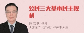 公民三大基本民主权利