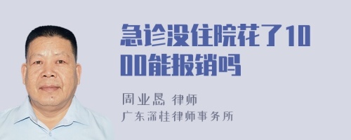 急诊没住院花了1000能报销吗