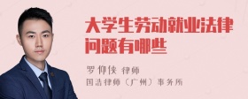 大学生劳动就业法律问题有哪些