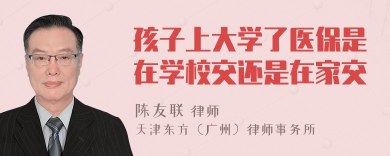 孩子上大学了医保是在学校交还是在家交