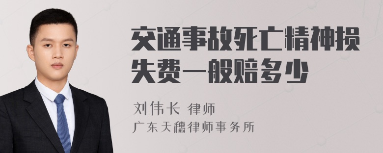 交通事故死亡精神损失费一般赔多少