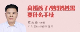 离婚孩子改妈妈姓需要什么手续