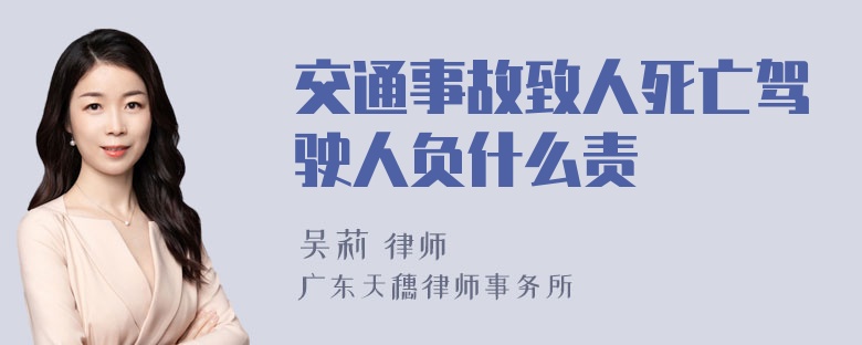 交通事故致人死亡驾驶人负什么责