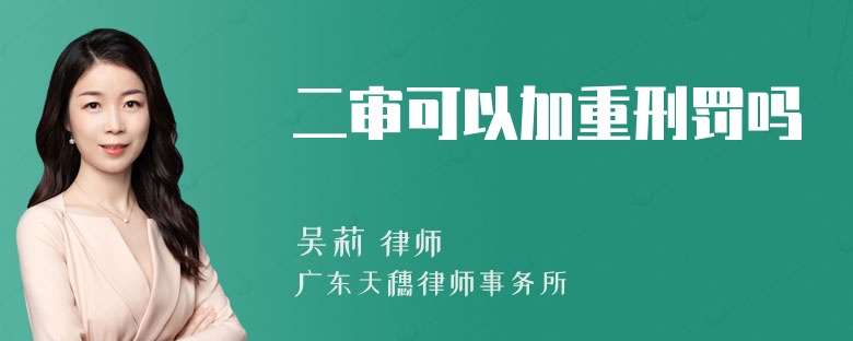 二审可以加重刑罚吗