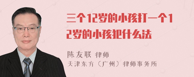 三个12岁的小孩打一个12岁的小孩犯什么法