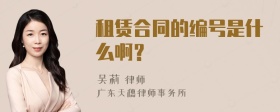 租赁合同的编号是什么啊？