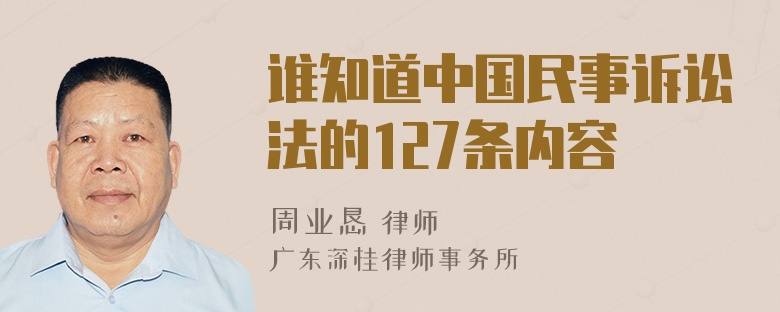 谁知道中国民事诉讼法的127条内容