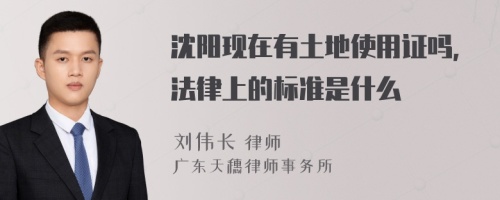 沈阳现在有土地使用证吗，法律上的标准是什么