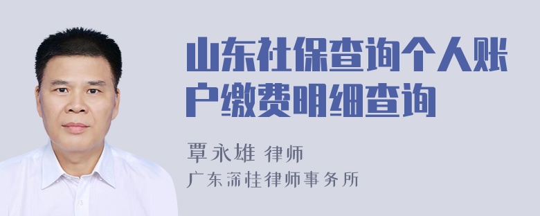 山东社保查询个人账户缴费明细查询