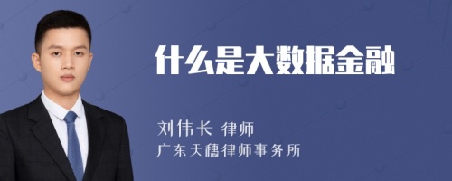 什么是大数据金融