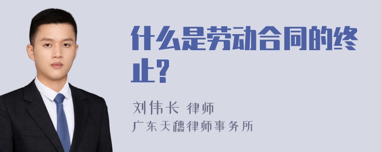 什么是劳动合同的终止?