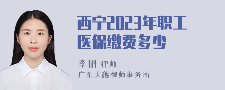 西宁2023年职工医保缴费多少