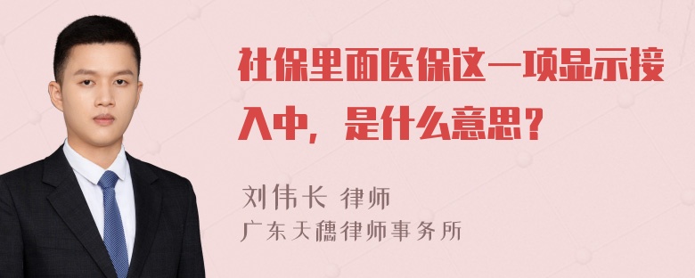 社保里面医保这一项显示接入中，是什么意思？