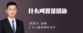 什么叫置留措施