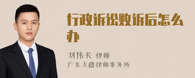行政诉讼败诉后怎么办