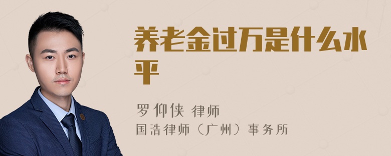 养老金过万是什么水平