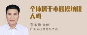 个体属于小规模纳税人吗