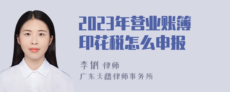 2023年营业账簿印花税怎么申报