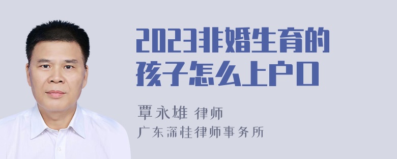 2023非婚生育的孩子怎么上户口