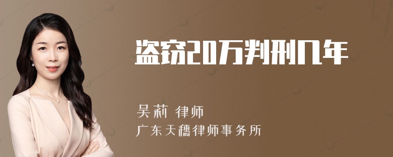 盗窃20万判刑几年