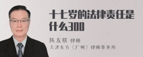 十七岁的法律责任是什么300